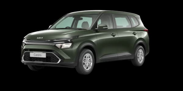 Pewter Olive
