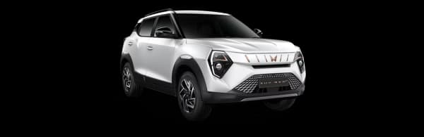 EVEREST WHITE