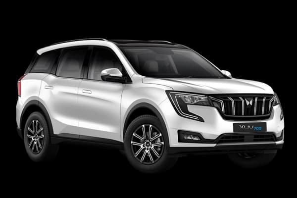 Everest White DT