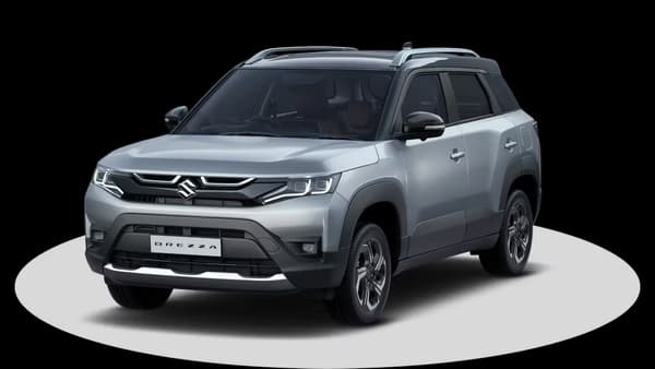 Splendid Silver With Bluish Black Roof