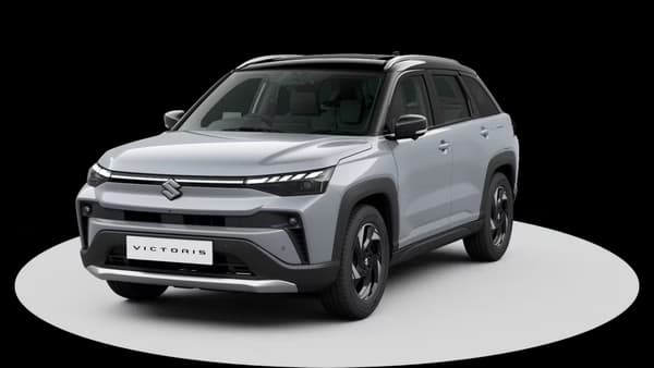 Splendid Silver With Bluish Black Roof
