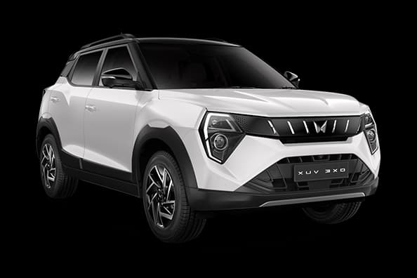 Everest White Black