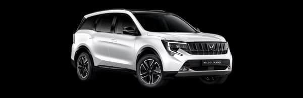 EVEREST WHITE STHBLK